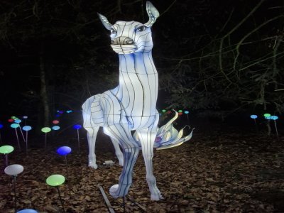 La promenade lumineuse est peuplée de créations magnifiques. La promenade lumineuse est peuplée de créations magnifiques.