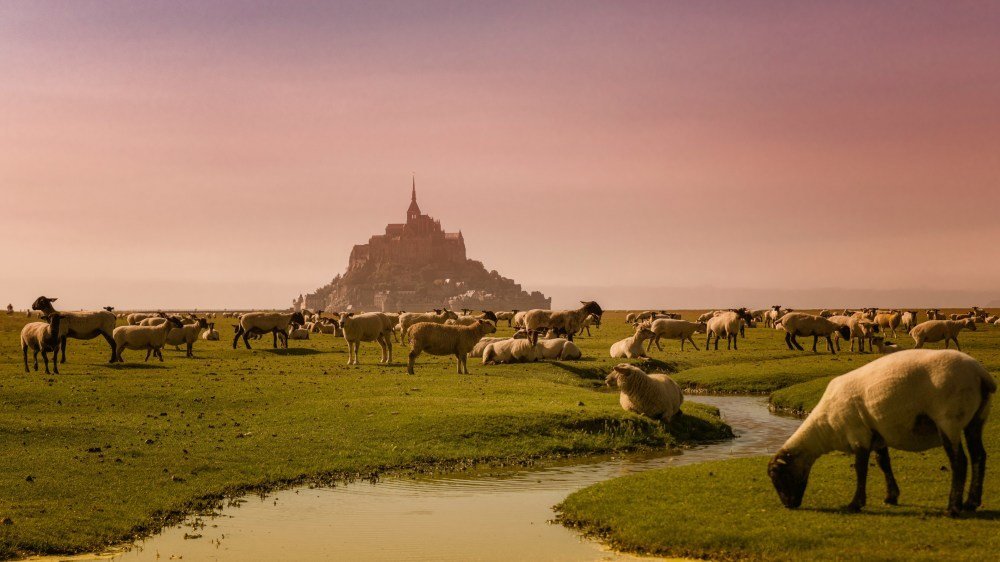 La baie du Mont-Saint-Michel, toujours haute dans les classements.