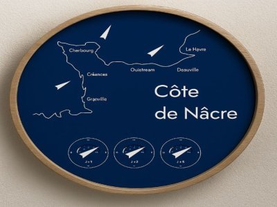 Voici à quoi pourrait ressembler l'horloge du vent conçue par Antoine de Joybert.