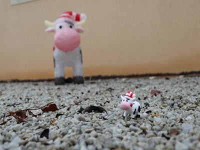 Mascotte de l'année dernière, la Vache de Noël fera son retour en format miniature. Imprimée en 3D par ses soins, elle fera plaisir aux enfants mais aussi aux plus grands, pour garder un petit souvenir symbolique.