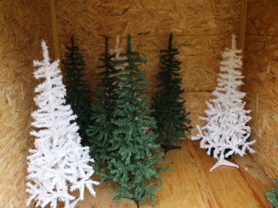 Il a aussi investi dans 8 petits sapins pour créer "une petite forêt" en plein milieu de son jardin de 600m2.