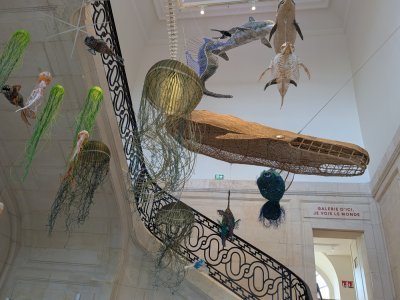 Vannerie, animaux en filets de pêche et squelettes d'animaux marins accueillent les visiteurs. - Célia Caradec