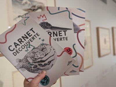Des carnets de découverte gratuits enrichissent la visite, pour les 4-6 ans, les 7-12 ans et les ados et adultes. - Célia Caradec