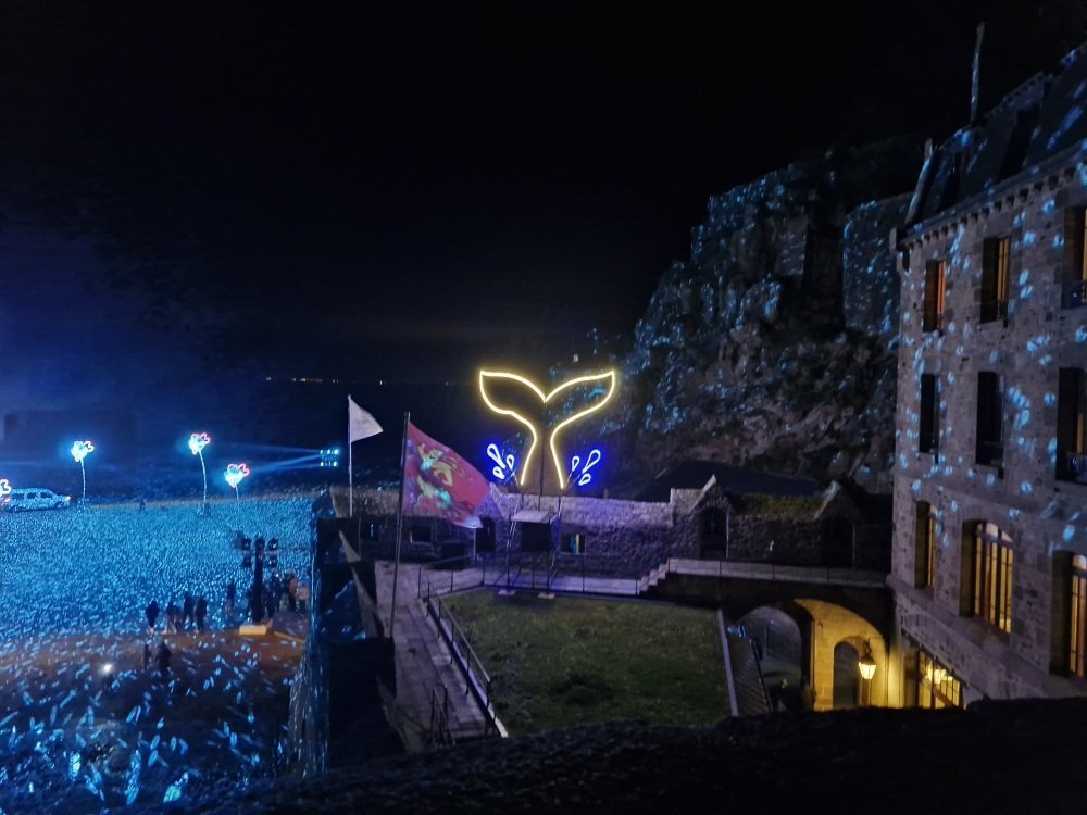 Les illuminations ont &eacute;t&eacute; cr&eacute;&eacute;es par l'atelier Spectaculaires de Rennes. Ils illuminent aussi le festival Papillons de Nuit dans le sud-Manche.