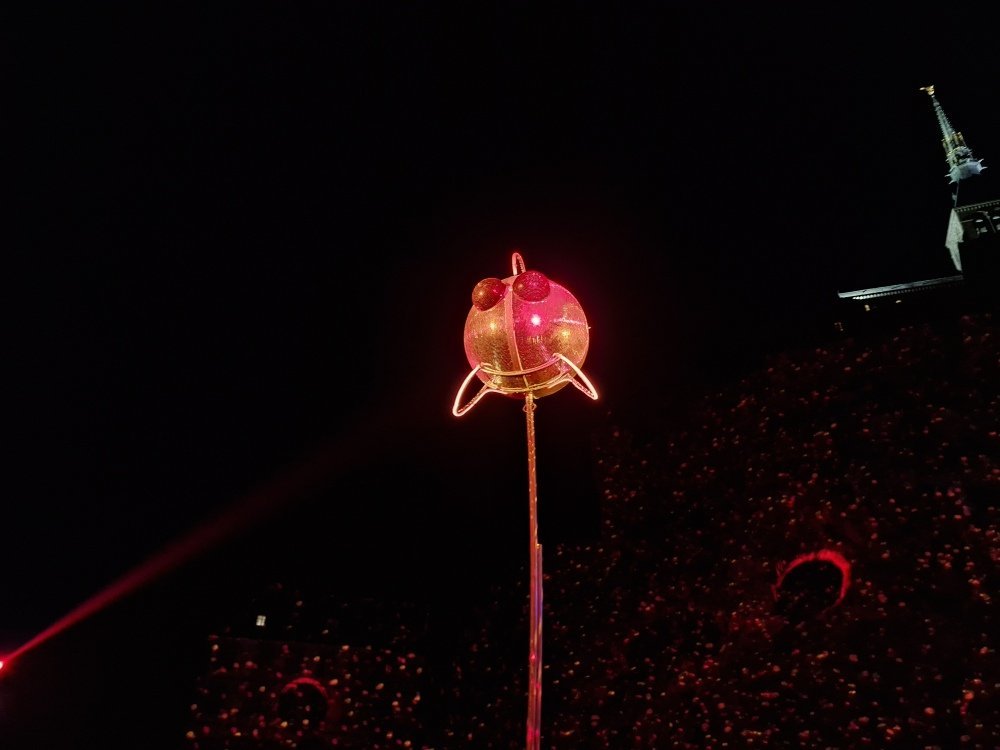 Ces poissons fonctionnent comme de grosses boules &agrave; facette et renvoient la lumi&egrave;re partout sur l'esplanade au pied du Mont.