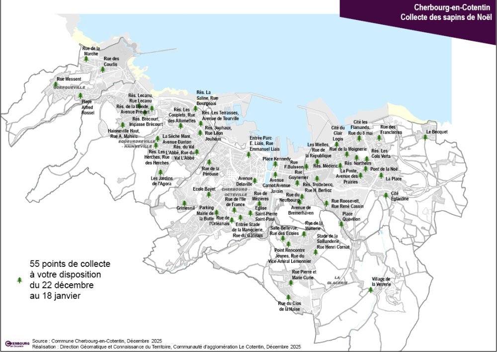 55 points de collecte des sapins sont r&eacute;partis &agrave; travers la ville.