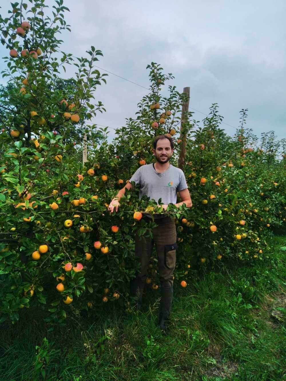 Dans la Manche, Vincent de Brunville produit... des kiwis !