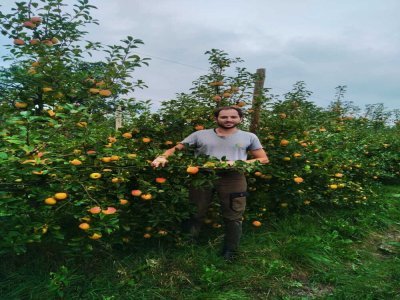 Dans la Manche, Vincent de Brunville produit... des kiwis !