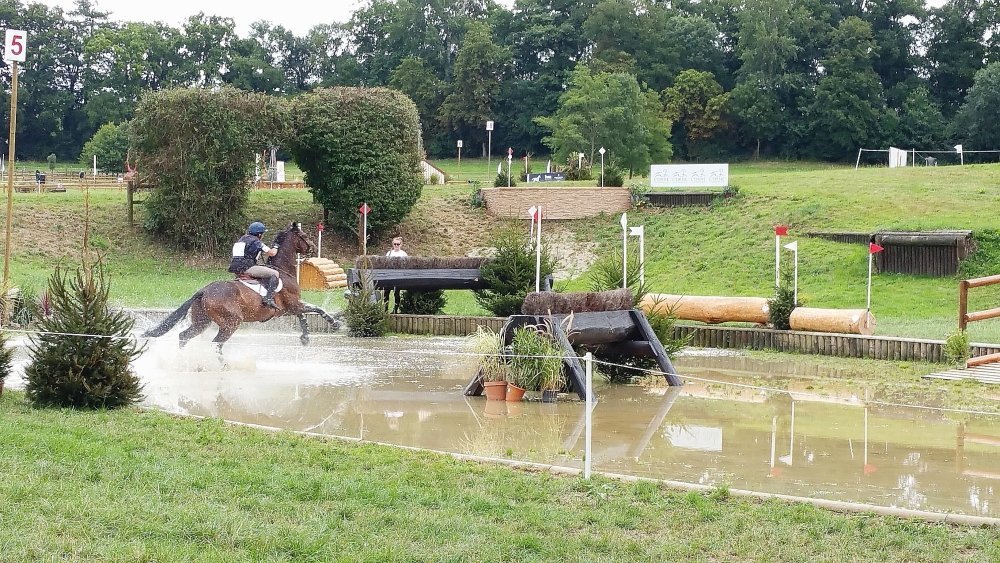 Le Grand Complet devrait revenir au haras national du Pin.