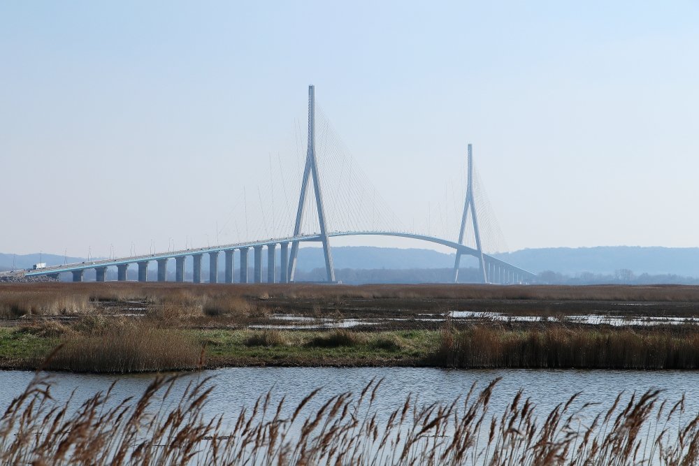 Le pont de Normandie est le point de rassemblement pour les JA et la FDSEA.