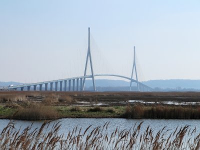 Le pont de Normandie est le point de rassemblement pour les JA et la FDSEA. - C&eacute;lia Caradec