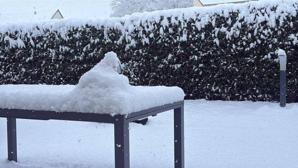 Les premiers bonhommes de neige ont vu le jour.