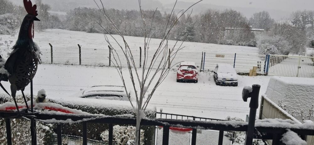 Tous nos jardins normands ont des airs de f&eacute;erie ce matin.