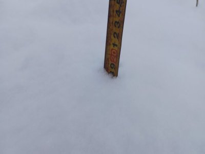 18 centim&egrave;tres &agrave; Sourdeval-les-Bois, &agrave; 11h30 ce lundi 5. - Myl&egrave;ne Paisant