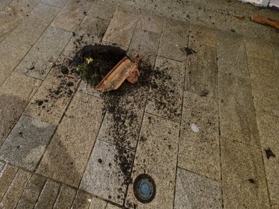 Une jardini&egrave;re a termin&eacute; sa course au sol, &agrave; Cherbourg. - Julien Rojo