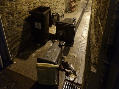 Des poubelles ont &eacute;t&eacute; renvers&eacute;es par le vent. La collecte des d&eacute;chets avait &eacute;t&eacute; suspendue pour la soir&eacute;e. - Julien Rojo