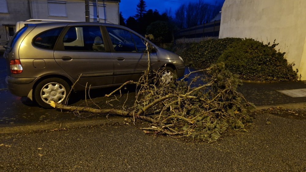 Des branches d'arbres sont tomb&eacute;es sur les routes, ici &agrave; Tourlaville.