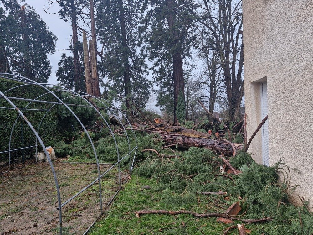 On voit sur cette photo le reste de l'arbre tomb&eacute; sur une maison &agrave; Roncherolles-sur-le-Vivier.