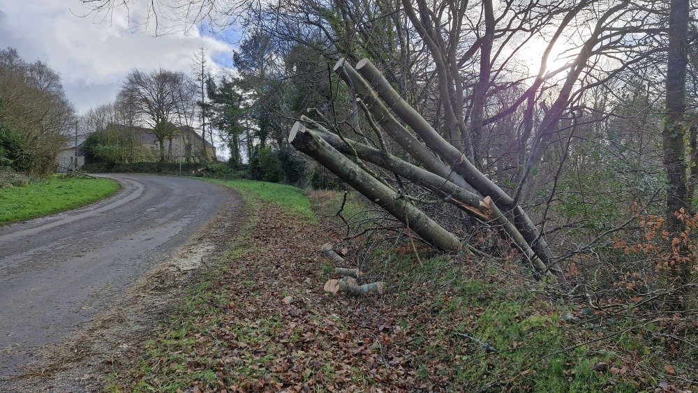 Certaines routes secondaires du Val-de-Saire &eacute;taient coup&eacute;es par des arbres.