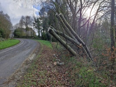 Certaines routes secondaires du Val-de-Saire &eacute;taient coup&eacute;es par des arbres. - Julien Rojo