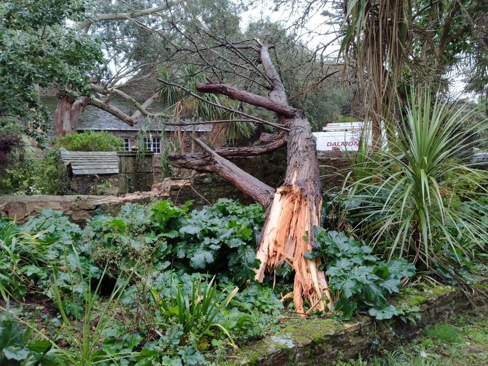 Plusieurs branches sont tomb&eacute;es dans l'entr&eacute;e du ch&acirc;teau.