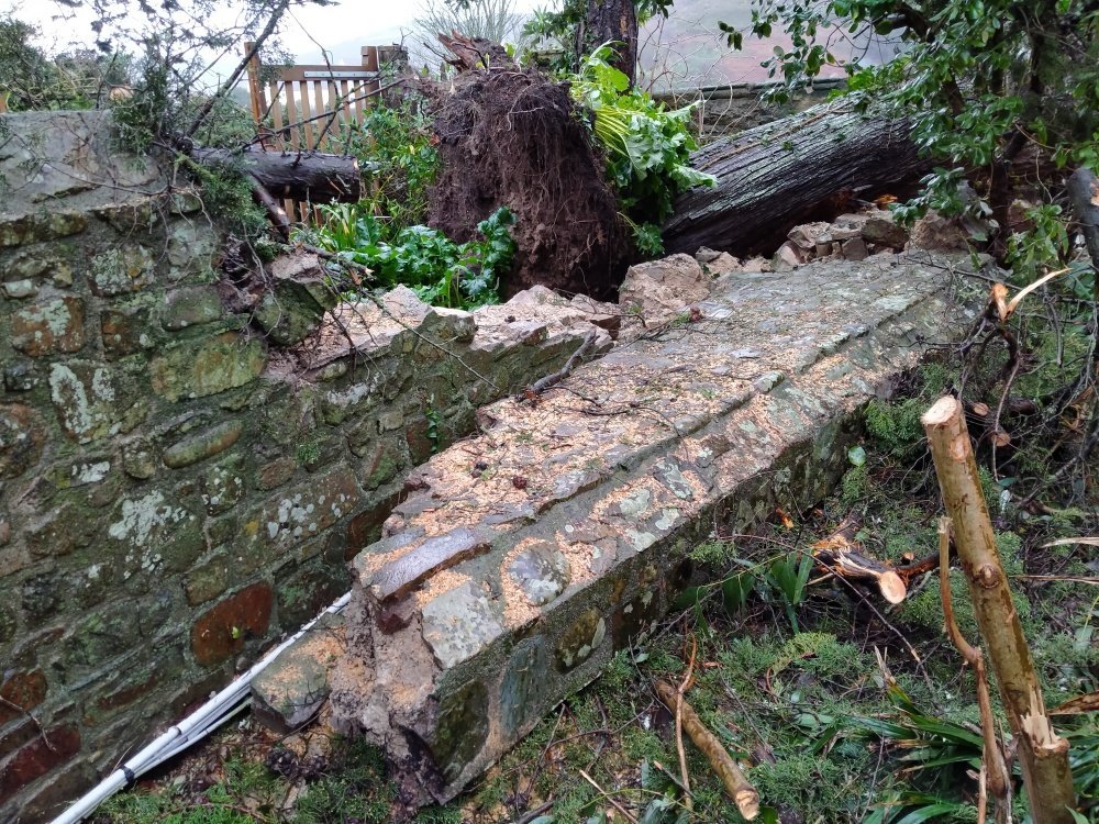 Un des murs du portail s'est effondr&eacute; sous le poids d'un arbre.