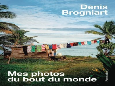 La couverture du livre de Denis Brogniart. - Flammarion