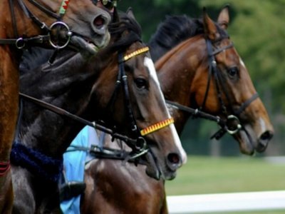 au cas ou je ne peux pas utiliser la photo ci dessus. - Hippodrome de Graignes