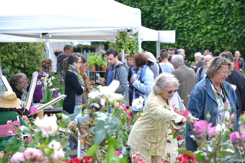 Les rosiers anciens ont eu beaucoup de succès ce week-end auprès des visiteurs.