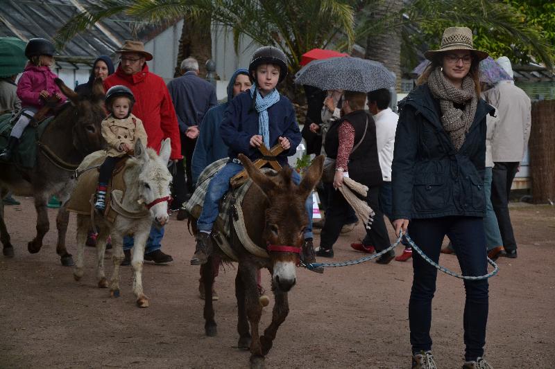 Pour les plus petits, la balade à poney s’impose.