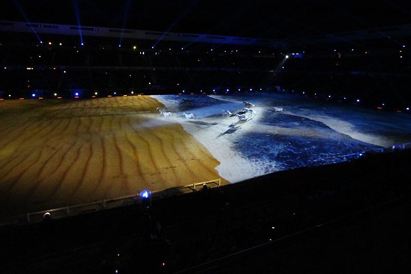 Jeux équestres mondiaux 2014.