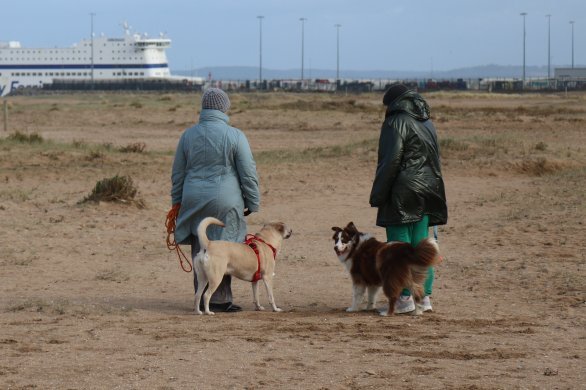 Municipales 2026. Vieillissement, impôts, tourisme... Les défis de Ouistreham