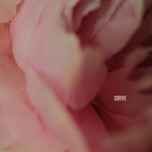 Ecouter la radio de Tendance Ouest